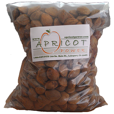 Apricot Pits (In Shell)