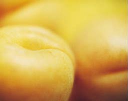Apricot Seeds, Laetrile from Apricot Power