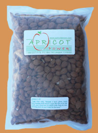 Apricot Kernels - 2lbs