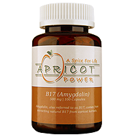 B17/Amygdalin 500 mg Capsules
