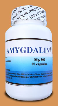 Amygdalin/B17- 500mg, capsules