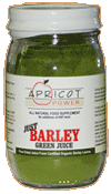 Barley Green Juice