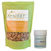 B17 Tablets & Apricot Kernels Combo
